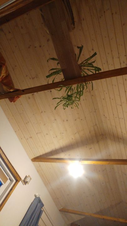 auwegKARTELL Trailer House · 7,2 Meter – Foto 19